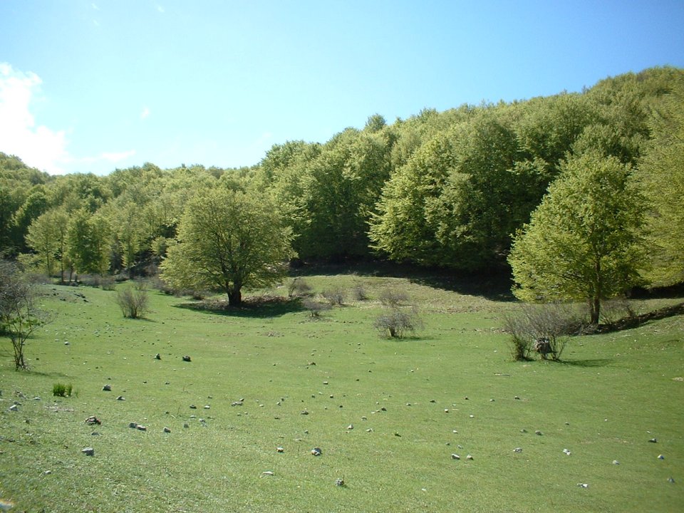 parco dei monti simbruini